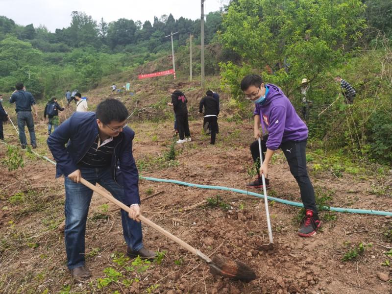 IMG_20200429_101233_$1588236062002088052.jpg IMG_20200429_101233.jpg