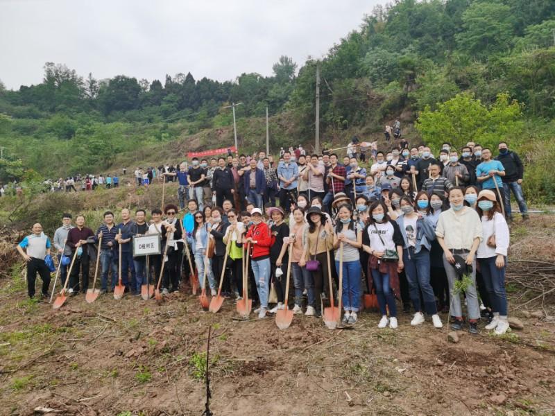 IMG_20200429_103307_$1588236030575016099.jpg IMG_20200429_103307.jpg